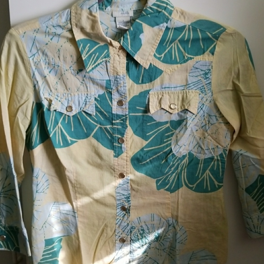 Anthropologie Odille Buttondown Shirt sz 2